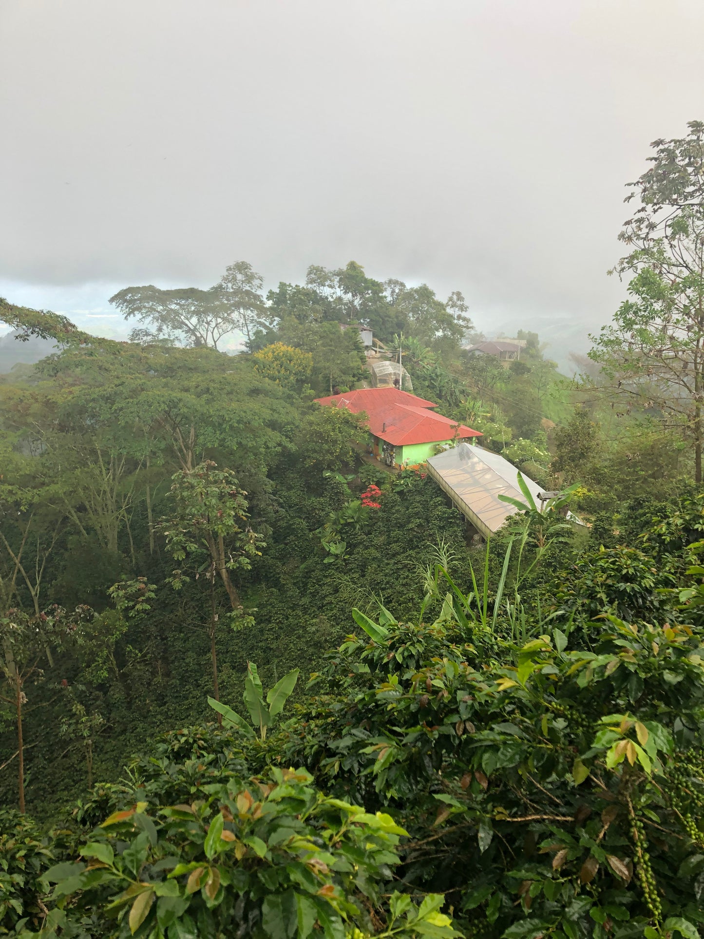 ARISTOBULO RAYO - Colombia